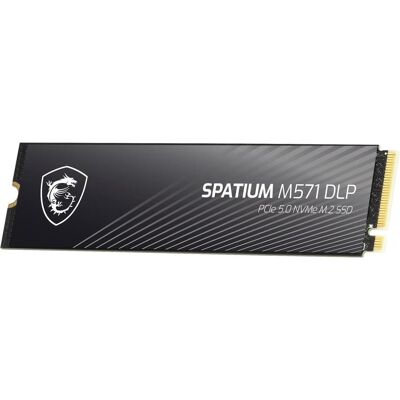 MSI SSD 4TB Spatium M571 (M.2 2280) PCIe Gen5 x4 NVMe (4000 GB, M.2, M.2 2280), SSD MSI SSD 4TB Spatium M571 (M.2 2280) PCIe Gen5 x4 NVMe (4000 GB, M.2, M.2 2280), SSD