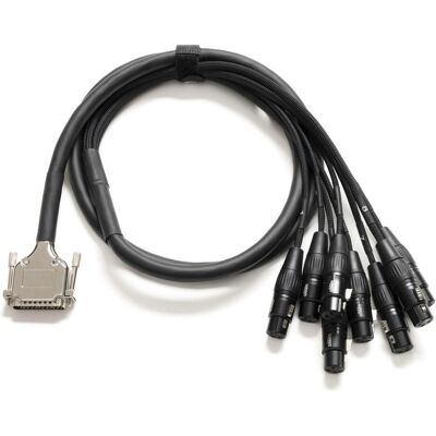 Warm Audio Prem-DB25-XLRf-20 Inch (6.10 m, XLR Kabel), Audiokabel Warm Audio Prem-DB25-XLRf-20 Inch (6.10 m, XLR Kabel), Audiokabel