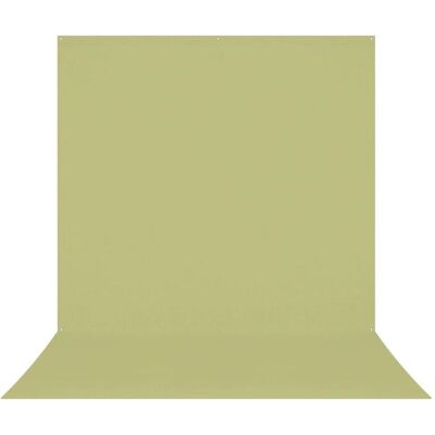 Westcott X Drop Pro Wrinkle Resistant Backdrop Light Green Moss Sweep (2.4 x 4 m) (240 cm, 400 cm), Hintergrundsystem, Grün Westcott X Drop Pro Wrinkle Resistant Backdrop Light Green Moss Sweep (2.4 x 4 m) (240 cm, 400 cm), Hintergrundsystem, Grün