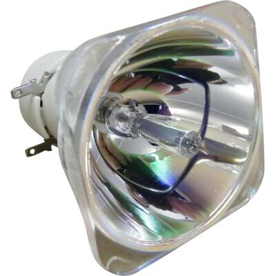 Philips Beamerlampe für OPTOMA SP.72Y01GC01, BL-FU260C (WU416, X416), Beamerlampe Philips Beamerlampe für OPTOMA SP.72Y01GC01, BL-FU260C (WU416, X416), Beamerlampe