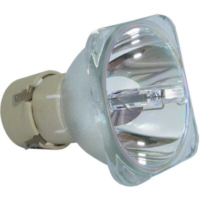Azurano Beamerlampe für BENQ 5J.J9R05.001 Ersatzlampe Projektorlampe (MS3081+, MS504, MS504A, MS504P, MS506, MS506P, MS507, MS512H, MS514H, MS517H, MS521P, MS522P, MS524, MS524A, MS524B, MS527, MX3082, MX505, MX505A, MX507P, MX522P, MX525, MX525A, MX525B, Azurano Beamerlampe für BENQ 5J.J9R05.001 Ersatzlampe Projektorlampe (MS3081+, MS504, MS504A, MS504P, MS506, MS506P, MS507, MS512H, MS514H, MS517H, MS521P, MS522P, MS524, MS524A, MS524B, MS527, MX3082, MX505, MX505A, MX507P, MX522P, MX525, MX525A, MX525B,