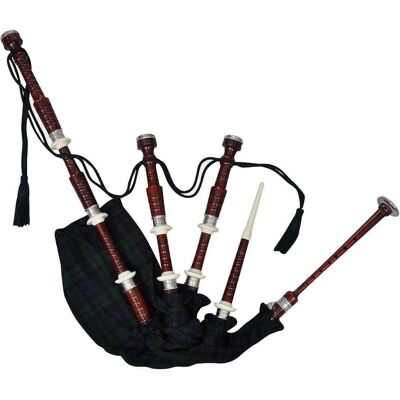 vidaXL Berlunas, Blasinstrumente, Grün vidaXL Berlunas, Blasinstrumente, Grün