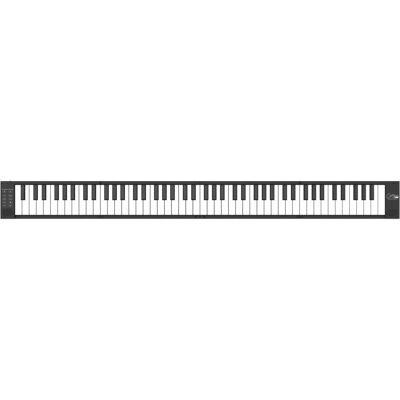 Blackstar Folding Piano (88 Tasten), Keyboard, Schwarz Blackstar Folding Piano (88 Tasten), Keyboard, Schwarz