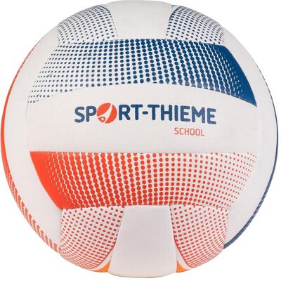 Sport-Thieme, Volleybälle, (5) Sport-Thieme, Volleybälle, (5)
