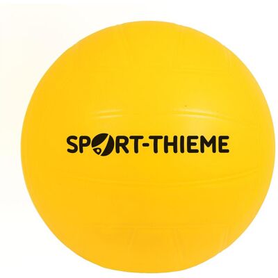 Sport-Thieme, Volleybälle, (4) Sport-Thieme, Volleybälle, (4)