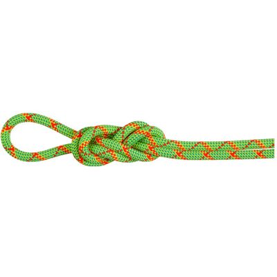 Mammut 8,0 Alpine Core Protect Dry Rope - Kletterseil Mammut 8,0 Alpine Core Protect Dry Rope - Kletterseil