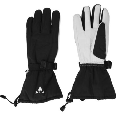 Whistler, Skihandschuhe, (6) Whistler, Skihandschuhe, (6)