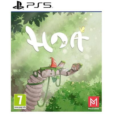 PM Studios, Hoa PM Studios, Hoa