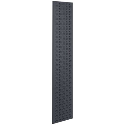 Kappes Schlitzplatte RasterPlan RAL 7016 B450 x H2000 mm Hochformat (4202.00.4008) Kappes Schlitzplatte RasterPlan RAL 7016 B450 x H2000 mm Hochformat (4202.00.4008)