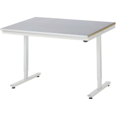 RAU Elektrisch höhenverstellbarer Arbeitstisch - Stahlplatte - 720-1120mm RAU Elektrisch höhenverstellbarer Arbeitstisch - Stahlplatte - 720-1120mm