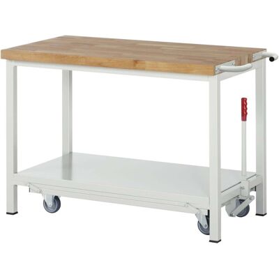 Rau Werkbank mit absenkbarem Fahrgestell Modell 8000 B 1250 x T 700 x H 880mm (05-8000-6-127B4F.12) Rau Werkbank mit absenkbarem Fahrgestell Modell 8000 B 1250 x T 700 x H 880mm (05-8000-6-127B4F.12)