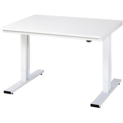 RAU Arbeitstisch - Höhenverstellbar, 300kg Tragkraft, 1250x1000mm RAU Arbeitstisch - Höhenverstellbar, 300kg Tragkraft, 1250x1000mm