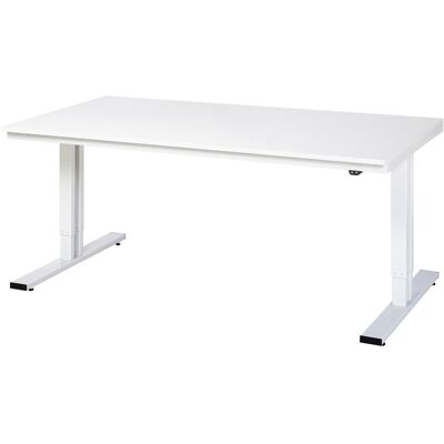 RAU Elektrisch höhenverstellbarer Arbeitstisch - 2000x1000mm RAU Elektrisch höhenverstellbarer Arbeitstisch - 2000x1000mm