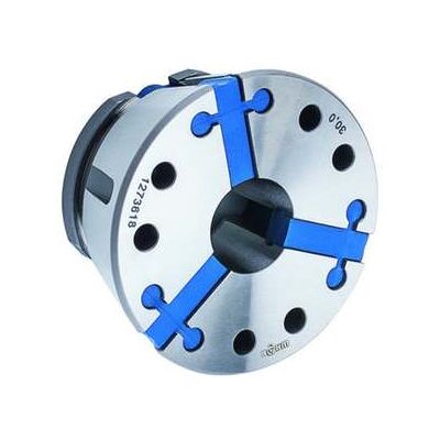 RÖHM Spannzange GTG 52 D48,0 CAPTIS GLATT L46 (1273444) RÖHM Spannzange GTG 52 D48,0 CAPTIS GLATT L46 (1273444)
