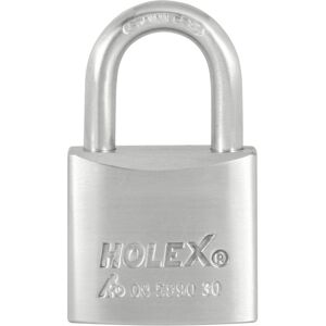 HOLEX Zylinderschloss verschiedenschließend Edelstahl 30 mm (085890 30) HOLEX Zylinderschloss verschiedenschließend Edelstahl 30 mm (085890 30)