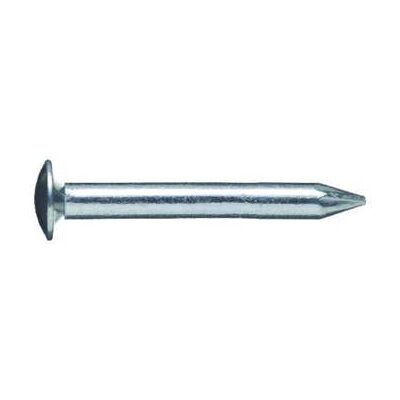 BÄR Modell H 36 40 05 - Stahl Nägel Galvanisiert, Linsenkopf, 3,6x40mm BÄR Modell H 36 40 05 - Stahl Nägel Galvanisiert, Linsenkopf, 3,6x40mm