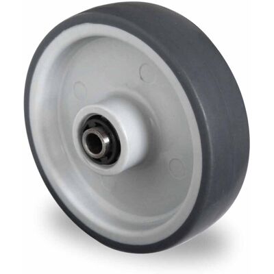CASCOO Rad ø 125 mm Serie P2V2 Rollenlager (125P2V2R1W) CASCOO Rad ø 125 mm Serie P2V2 Rollenlager (125P2V2R1W)