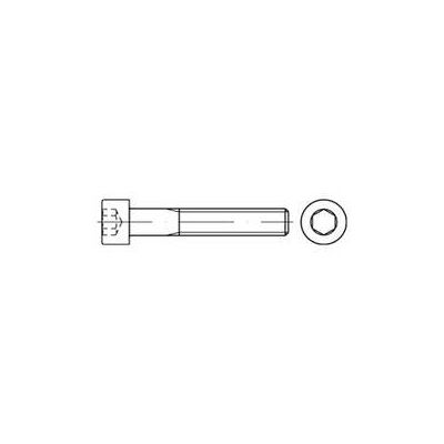 Reyher DIN 912/ISO 4762 Zylinderkopf-Schaftschraube M5x20 Stahl 8.8 galvanisch verzinkt ISK (009128109050020) Reyher DIN 912/ISO 4762 Zylinderkopf-Schaftschraube M5x20 Stahl 8.8 galvanisch verzinkt ISK (009128109050020)