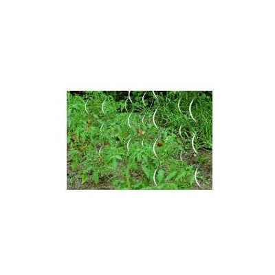 Floraworld Tomatenspiralstab - Verzinkt, 150cm, Ø 6,8mm, 10 Stück Floraworld Tomatenspiralstab - Verzinkt, 150cm, Ø 6,8mm, 10 Stück