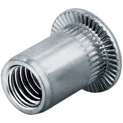 Goebel Blindnietmutter Alu Flachrundkopf M6 Klemmbereich 0,5-3,0mm (7550620000) Goebel Blindnietmutter Alu Flachrundkopf M6 Klemmbereich 0,5-3,0mm (7550620000)