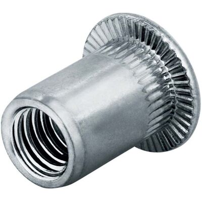 Goebel Blindnietmutter Edelstahl Flachrundkopf M6 Klemmbereich 3,0 - 5,5mm (7550610002) Goebel Blindnietmutter Edelstahl Flachrundkopf M6 Klemmbereich 3,0 - 5,5mm (7550610002)