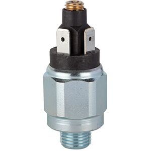 Riegler Druckschalter, Standard, Stahl verz., G 1/8, 1 - 10 bar, Öffner (DS 4022) Riegler Druckschalter, Standard, Stahl verz., G 1/8, 1 - 10 bar, Öffner (DS 4022)