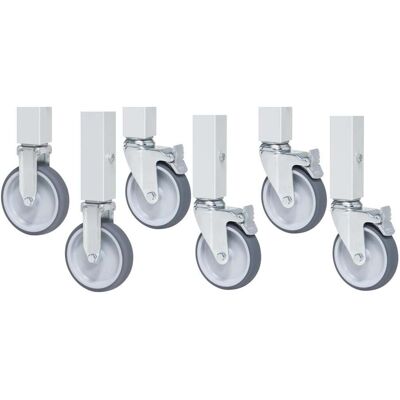 Rau Rollensatz mit Expander, 2 Bock- und 4 Lenkrollen mit Feststeller (09-RS125EP-4LF-2B) Rau Rollensatz mit Expander, 2 Bock- und 4 Lenkrollen mit Feststeller (09-RS125EP-4LF-2B)