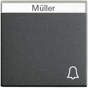 Gira Wippe Klingel anth m.Schriftf.,System55 067328) Gira Wippe Klingel anth m.Schriftf.,System55 067328)