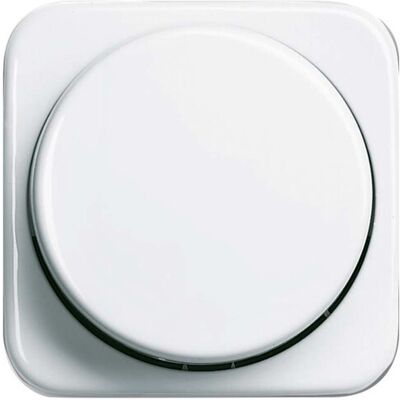 Busch-Jaeger Alpinweiß Dimmer - Zentralscheibe 2115/11-214-500 Busch-Jaeger Alpinweiß Dimmer - Zentralscheibe 2115/11-214-500