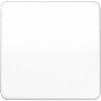 Jung CD 590 BF WW Wandschalter - Lichtschalter Jung CD 590 BF WW Wandschalter - Lichtschalter