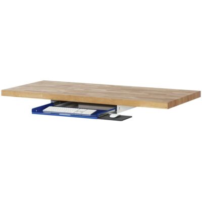 RAU Tastaturauszug 1 640 mm x 485 mm (09-TA1.11) RAU Tastaturauszug 1 640 mm x 485 mm (09-TA1.11)
