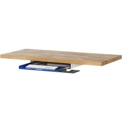RAU Tastaturauszug 1 640 mm x 485 mm (09-TA1.11) RAU Tastaturauszug 1 640 mm x 485 mm (09-TA1.11)