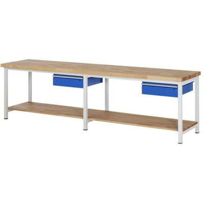 Rau Werkbank Modell 8001 mit Ablageboden BxTxH 3000x900x840mm (03-8001A7-309B4S.11) Rau Werkbank Modell 8001 mit Ablageboden BxTxH 3000x900x840mm (03-8001A7-309B4S.11)