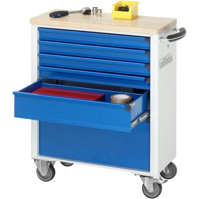 Rau Werkzeugwagen mit 6 Schubladen Buche BxTxH 700x350x860mm (02-7110B.11) Rau Werkzeugwagen mit 6 Schubladen Buche BxTxH 700x350x860mm (02-7110B.11)