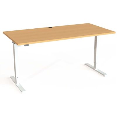 STIER Elektrisch höhenverstellbarer Schreibtisch 501-20 160 x 80cm Buche Weiß (907744) STIER Elektrisch höhenverstellbarer Schreibtisch 501-20 160 x 80cm Buche Weiß (907744)