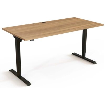 STIER Elektrisch höhenverstellbarer Schreibtisch 501-20 160 x 80cm Nussbaum Schwarz (907741) STIER Elektrisch höhenverstellbarer Schreibtisch 501-20 160 x 80cm Nussbaum Schwarz (907741)