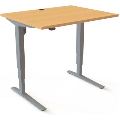 STIER Steh-Tisch 501-43 elektrisch höhenverstellbar 100 x 80cm Buche/Silber 65-125cm (907759) STIER Steh-Tisch 501-43 elektrisch höhenverstellbar 100 x 80cm Buche/Silber 65-125cm (907759)