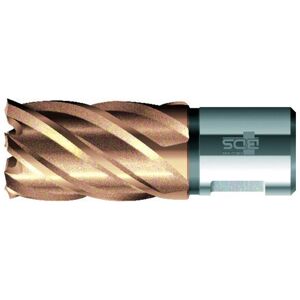 BDS Kernbohrer VARIOPlus kurz KBK HSS Schaft Weldon 31/30mm (KBK-VP 031) BDS Kernbohrer VARIOPlus kurz KBK HSS Schaft Weldon 31/30mm (KBK-VP 031)