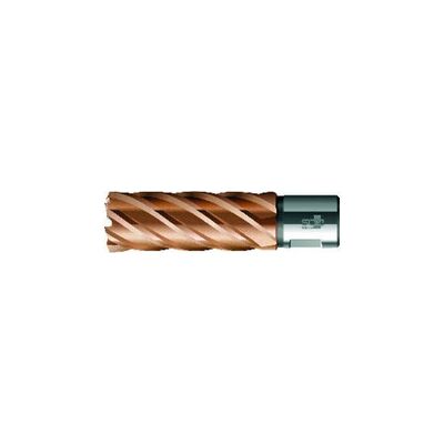 BDS Kernbohrer VARIOPlus lang KBI HSS Schaft Weldon 27/50mm (KBL-VP 027) BDS Kernbohrer VARIOPlus lang KBI HSS Schaft Weldon 27/50mm (KBL-VP 027)
