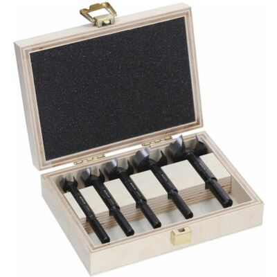 Bosch EXPERT Wood Forstnerbohrersatz, 5-tlg. (2608901843) Bosch EXPERT Wood Forstnerbohrersatz, 5-tlg. (2608901843)