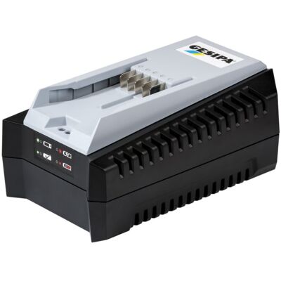 Gesipa Li-Ion Schnellladegerät 100-240/21 V Bird Pro (USA) (1457649) Gesipa Li-Ion Schnellladegerät 100-240/21 V Bird Pro (USA) (1457649)