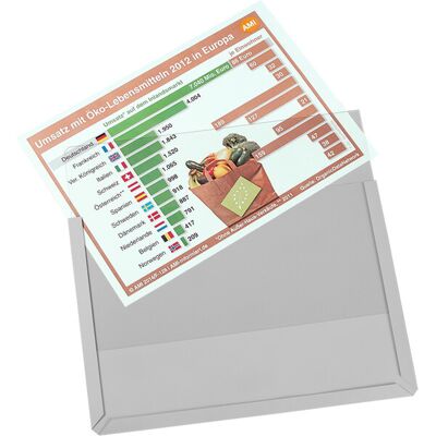 Eichner Magnet-Sichttasche aus Hart-PVC DIN A4 quer, transparent (9218-01820-00) Eichner Magnet-Sichttasche aus Hart-PVC DIN A4 quer, transparent (9218-01820-00)