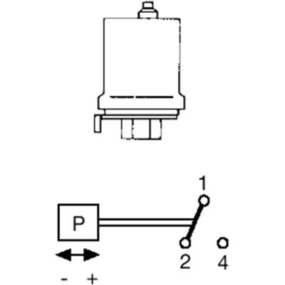 Grundfos Druckschalter FF4-8 0,5-8 bar 1polig, R 3/8 (00ID8953) Grundfos Druckschalter FF4-8 0,5-8 bar 1polig, R 3/8 (00ID8953)