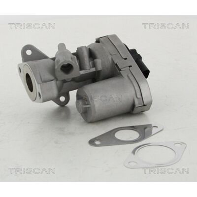 TRISCAN 8813 10002 Elektrische EGR-Ventil - EGR-Ventil TRISCAN 8813 10002 Elektrische EGR-Ventil - EGR-Ventil
