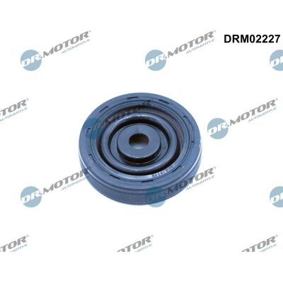 Dr.motor 15010800 Motorabdichtung - Motorabdichtung Dr.motor 15010800 Motorabdichtung - Motorabdichtung