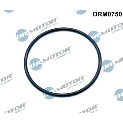 Dr.motor Automotive Ansaugkrümmer Dichtung - Automotive Dichtung Dr.motor Automotive Ansaugkrümmer Dichtung - Automotive Dichtung
