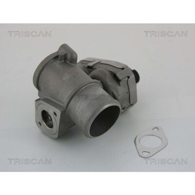 TRISCAN 8813 16101 EGR-Ventil - Elektrisch - Aluminiumabdeckung - 5 Pole TRISCAN 8813 16101 EGR-Ventil - Elektrisch - Aluminiumabdeckung - 5 Pole