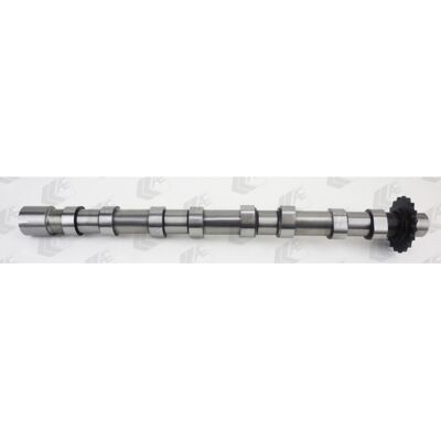 AE CAM1018 Nockenwelle - Motorensteil für Peugeot, Citroën, Ford, Fiat, DS AE CAM1018 Nockenwelle - Motorensteil für Peugeot, Citroën, Ford, Fiat, DS