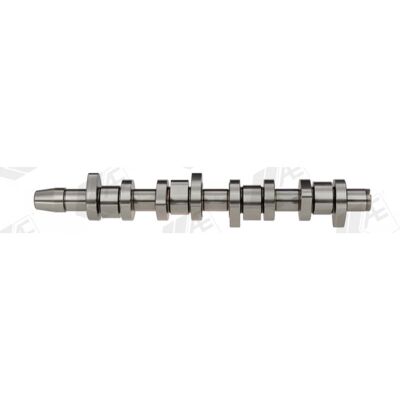 AE CAM933 Steuerkette - Timing Camshaft AE CAM933 Steuerkette - Timing Camshaft