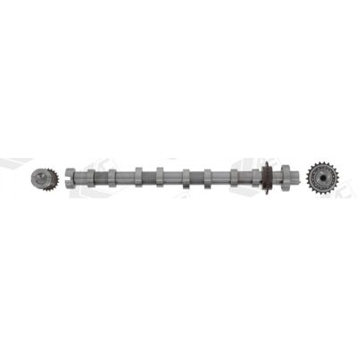 AE CAM1071 - Nockenwelle für Peugeot, Citroën, Toyota - Hochwertiges Ersatzteil AE CAM1071 - Nockenwelle für Peugeot, Citroën, Toyota - Hochwertiges Ersatzteil